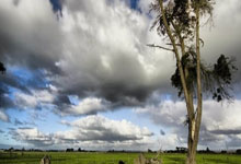 PG模拟器:NBA播客丨文霍斯特:詹姆斯不欠我任何东西 反而是我欠他很多.