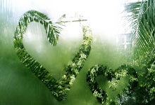 国足对阵日本,球迷冲场被行政拘留10日中国新闻社.