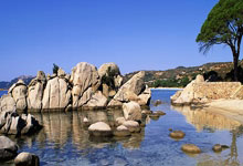 PG模拟器:曼联中场埃里克森料在赛季结束后离队.